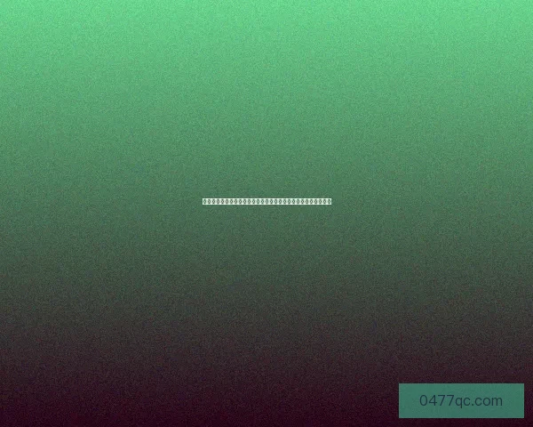 藏宝海湾皮裤引领时尚潮流，解密独特设计与流行趋势背后的故事