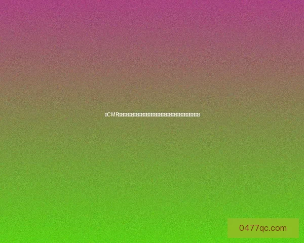 以CMR为核心的数字营销策略创新与应用探索：推动企业数字化转型的关键路径